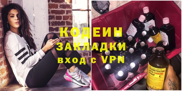 ПСИЛОЦИБИНОВЫЕ ГРИБЫ Грязовец