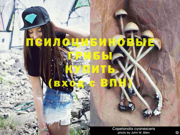 трава Абдулино