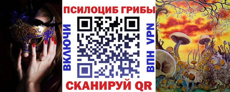 МЕГА как зайти  Абдулино  Галлюциногенные грибы Psilocybe 